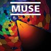 концерт Muse