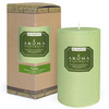 Aroma Naturals  Peppermint & Eucalyptus Candle