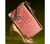 handbag/clutch & shoes