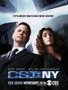 CSI: New York