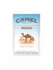 camel