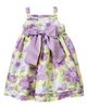 Ribbon Bow Floral Silk Dress