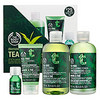 Tea Tree 4-Piece Facial Skin-Care Regime — Blemished Skin