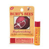 Burt's Bees lip balm