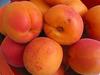 Apricots