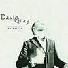 Музыка. David Gray - FOUNDLING