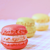 french macarons