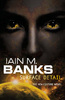 Iain M. Banks - Surface Detail