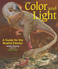 Color and Light: A Guide for the Realist Painter