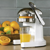 citrus juicer