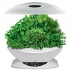 aerogarden