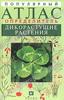 В. С. Новиков, И. А. Губанов  "Популярный атлас-определитель. Дикорастущие растения"