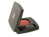 Chanel Powder Blush