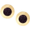 French Connection Semi Precious Disc Stud Earrings