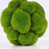 Bumpy Artificial Moss Balls 5"