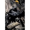 Batman: Time and the Batman HC