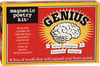 Genius Magnetic Poetry Kit