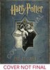 Harry Potter: Page to Screen