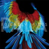 Friendly Fires - 'Pala'