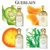 Guerlain Aqua Allegoria Pamplelune