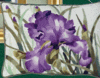 Grape Iris