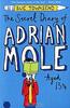 The Secret Diary of Adrian Mole Aged 13 3/4 (Sue Townsend)