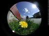 ломографический фотоаппарат fisheye