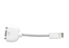 Apple Mini-DVI адаптер