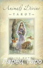 Animals Divine Tarot