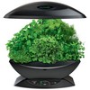 AeroGarden