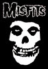 концерт The Misfits