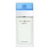 Dolche & Gabbana Light Blue