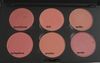 PRO PALETTE BLUSH X 6 от MAC