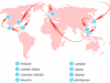 Билет Round the World