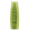 Alfaparf Restructuring Shampoo