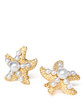 Starfish earrings