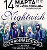 Входной билет на Nightwish