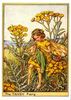 Оригинальный Постер - Tansy Flower Fairy Print c.1950