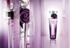 Lancome. Midnight Rose