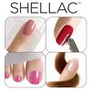 Shellac