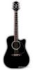 TAKAMINE TF341DLX