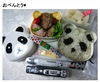 Panda - Bento Box