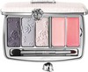 Dior Garden Clutch