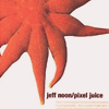 Jeff Noon "Pixel Juice"