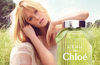 L’Eau de Chlo&#233; Perfume