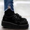 black suede creepers