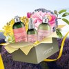 L'occitane Repairing Hair Care Set