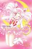 SAILOR MOON Volume 06