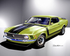 Ford Mustang Boss 302 (1969)