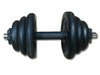 Гантели Barbell 2х20 кг (d 25мм)